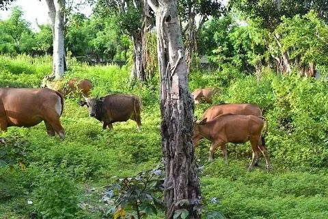 Indah Balangan Villa Jimbaran   Jimbaran (Bali)